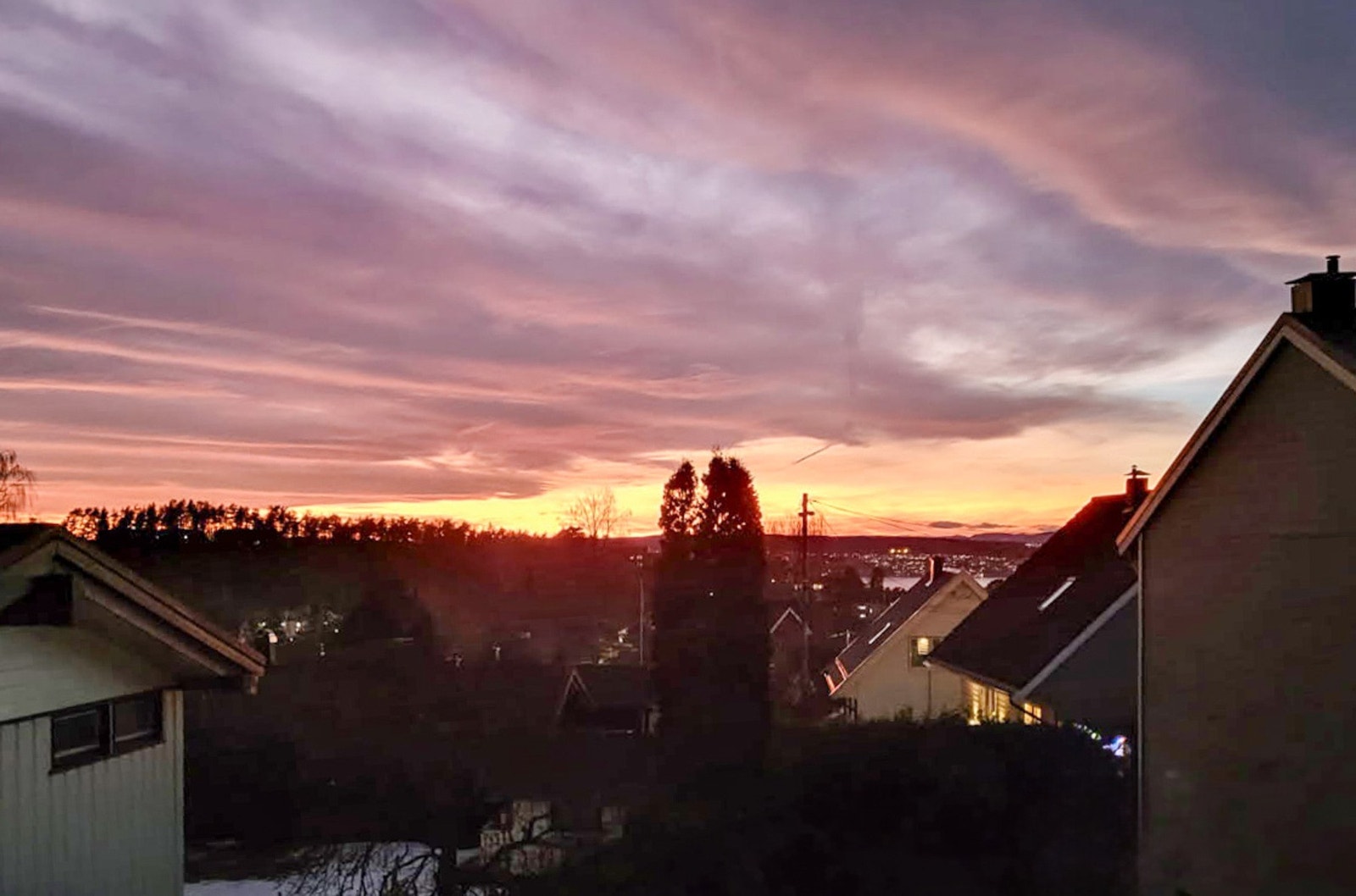 Selgers sommerbilde. Galleribilde