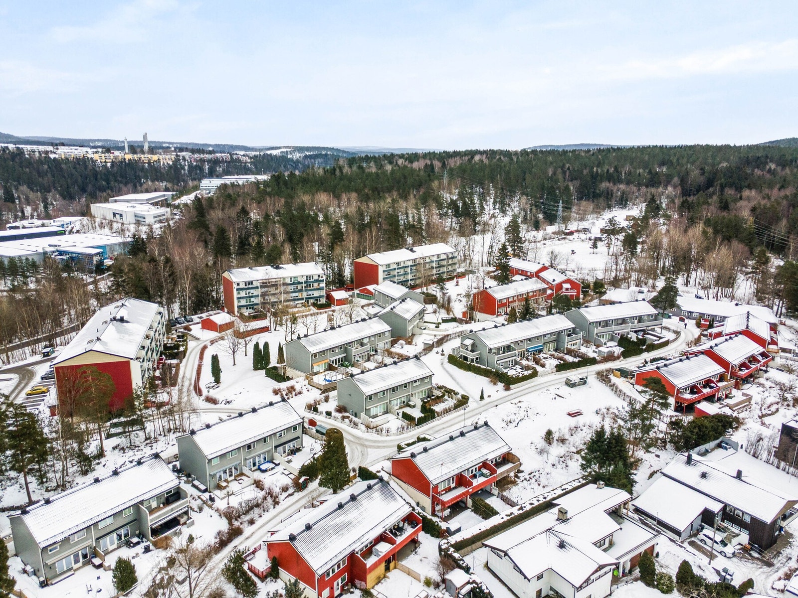 Nærområde 5. Det er 2-3 minutters gange til lysløypa i Grønliåsen i bakgrunnen. Galleribilde