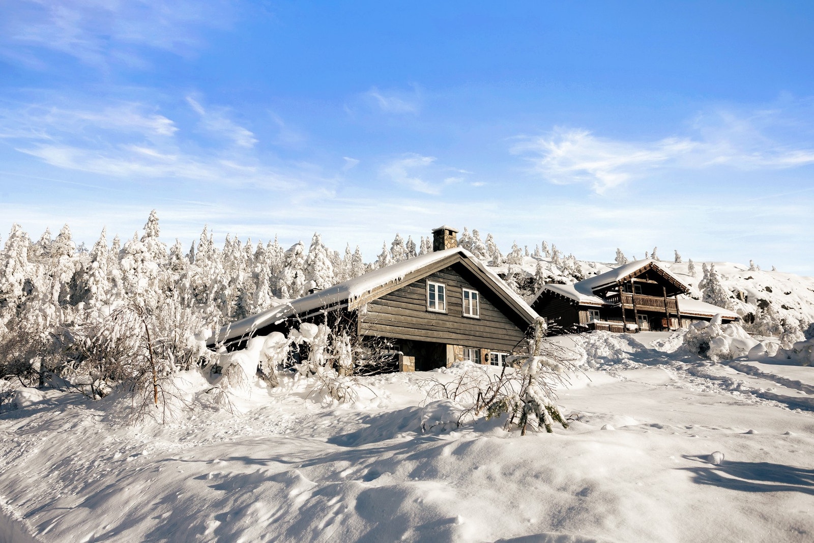 Velkommen til Blekaveien 65! Galleribilde