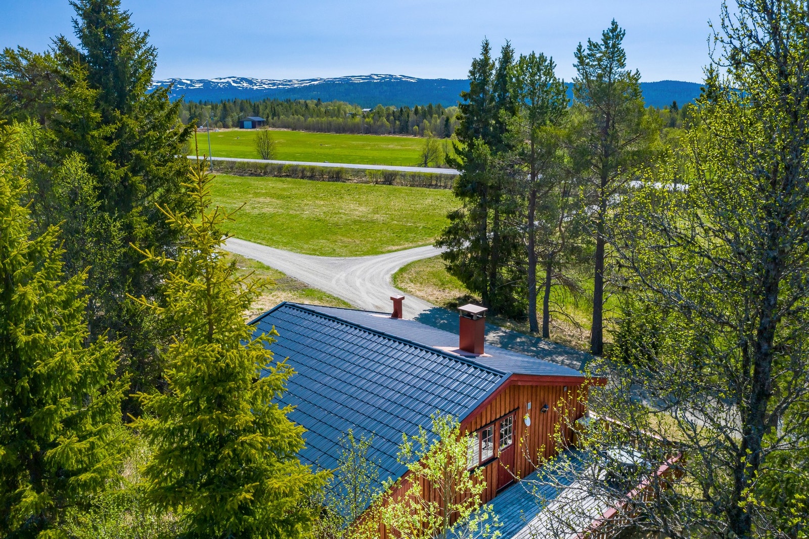 Velkommen på Visning! Galleribilde