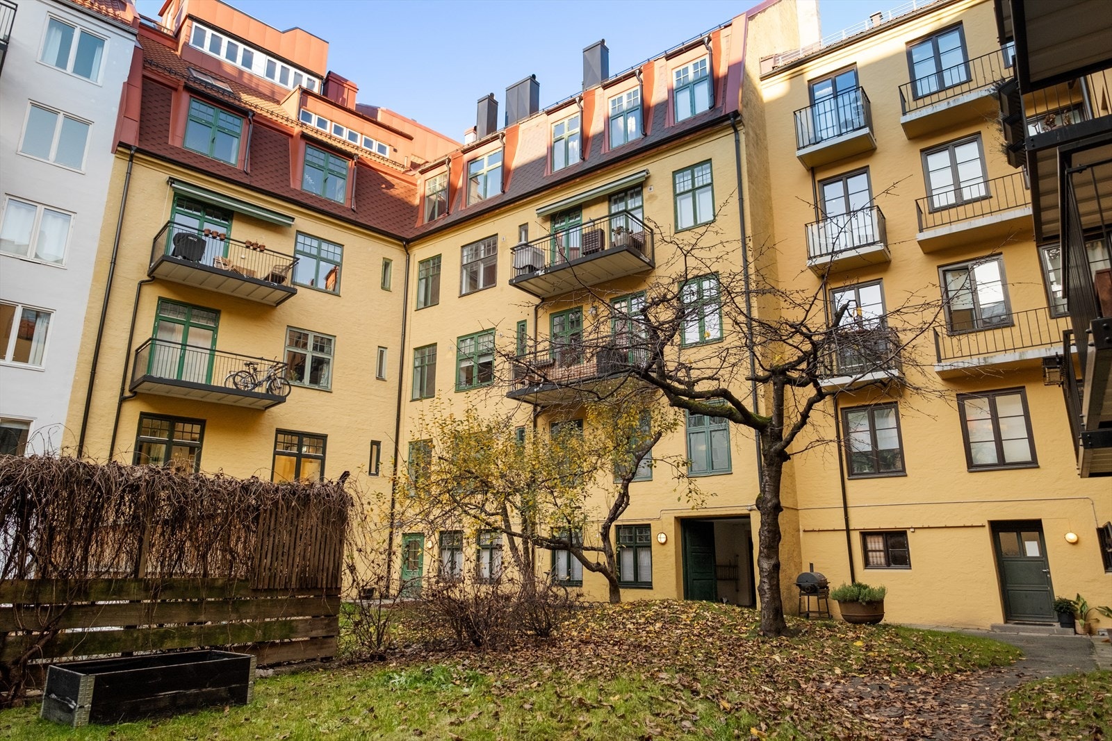 Bakgård. Galleribilde