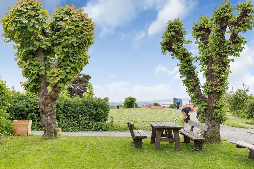 Fine turområder og flott utsikt fra toppen av Keyserløkka/Ola Narr park. Galleribilde