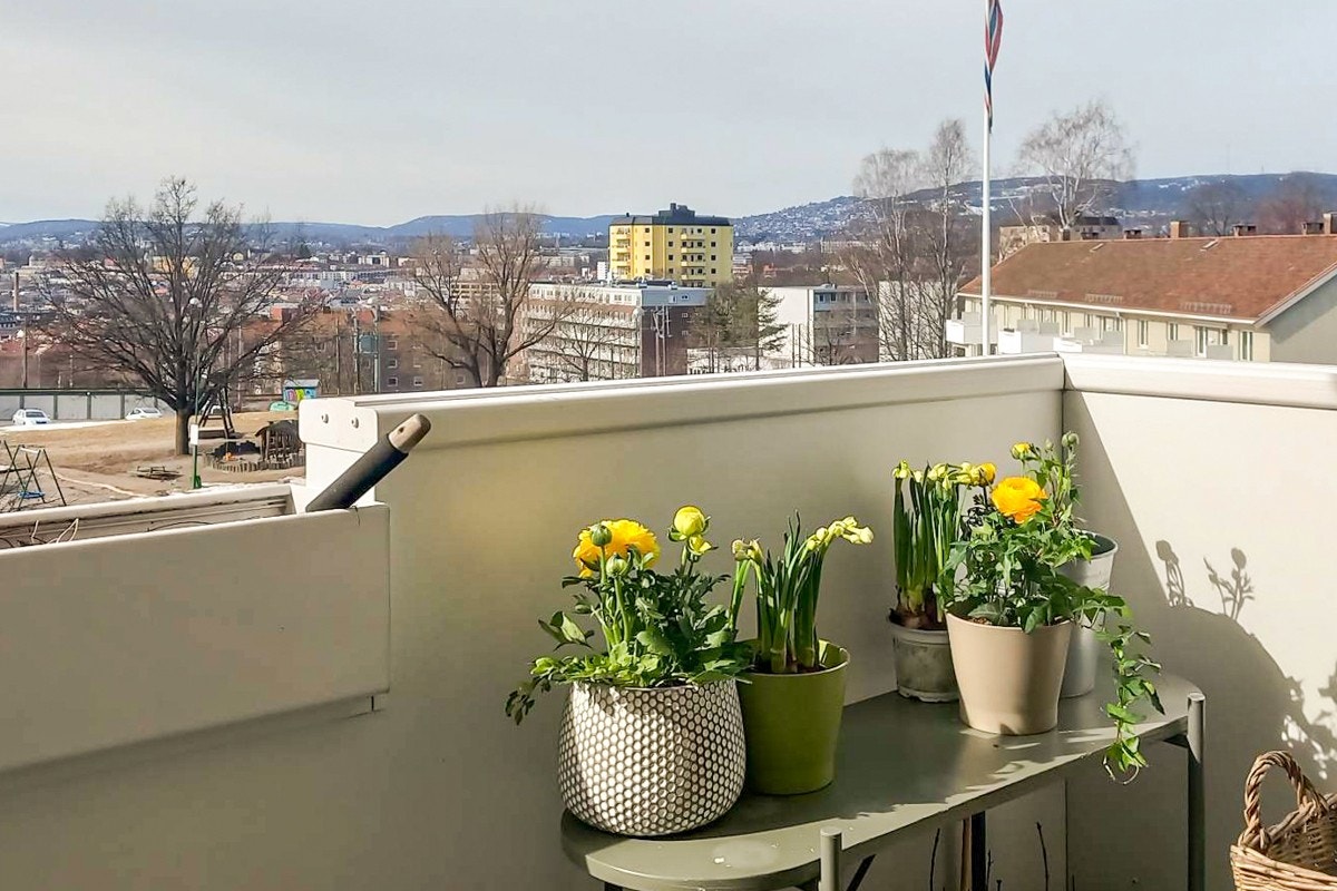 Selgers private bilde. Galleribilde