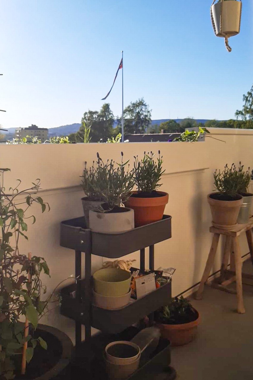 Selgers private bilde. Galleribilde