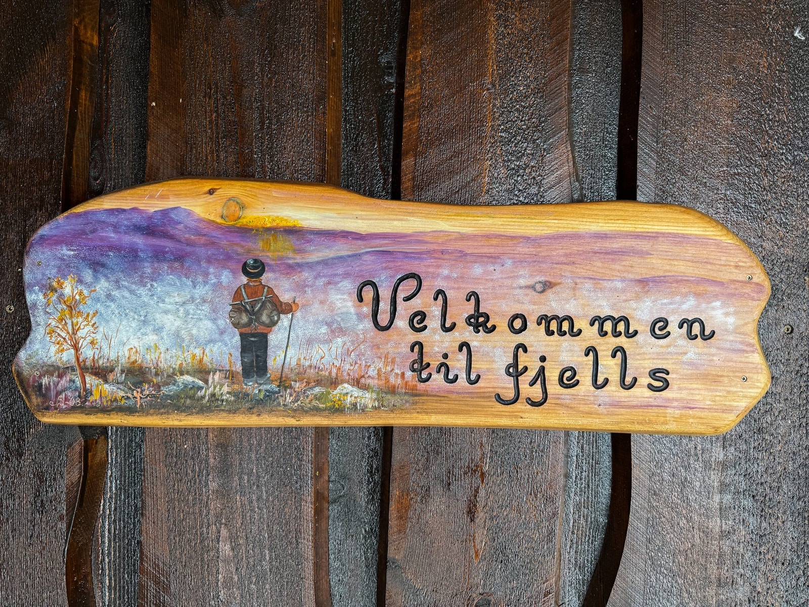 Velkommen til fjells! Galleribilde