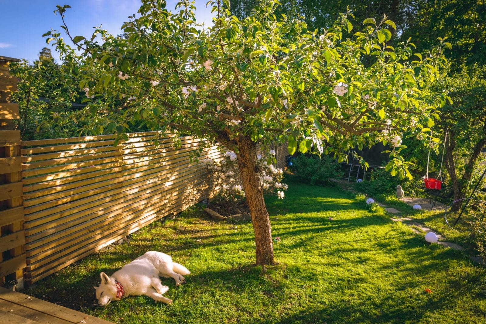 Selgers egne bilder. Galleribilde