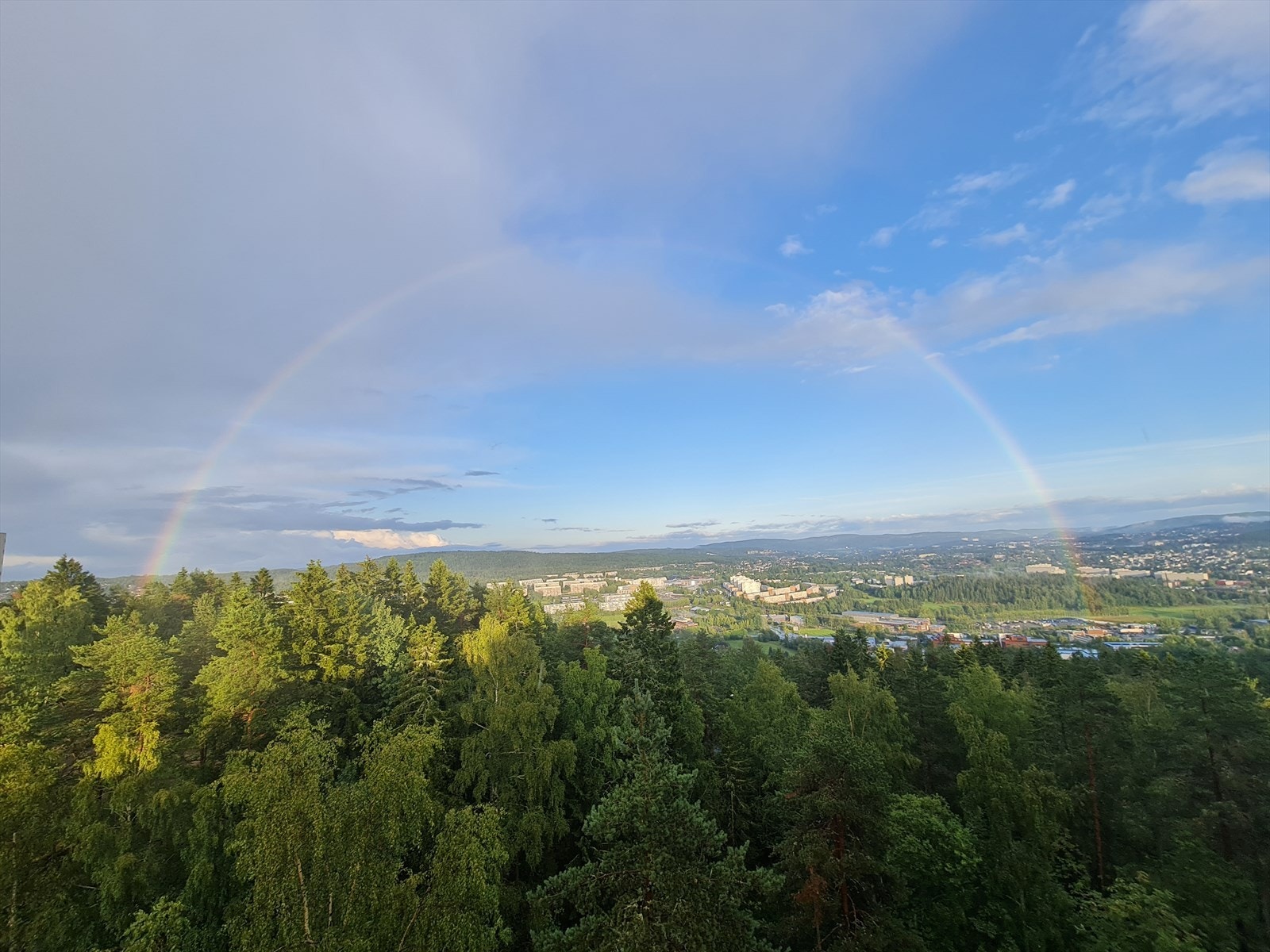 Utsikt. Galleribilde