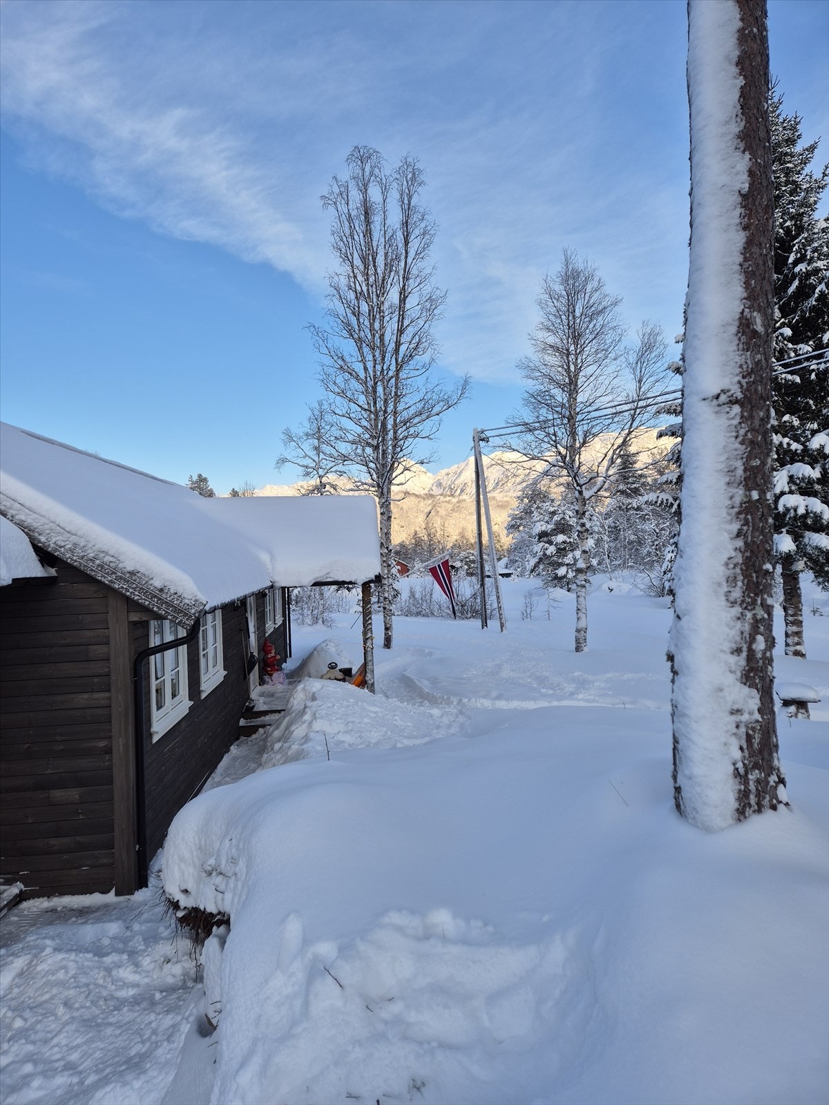 Vinteridyll! Galleribilde