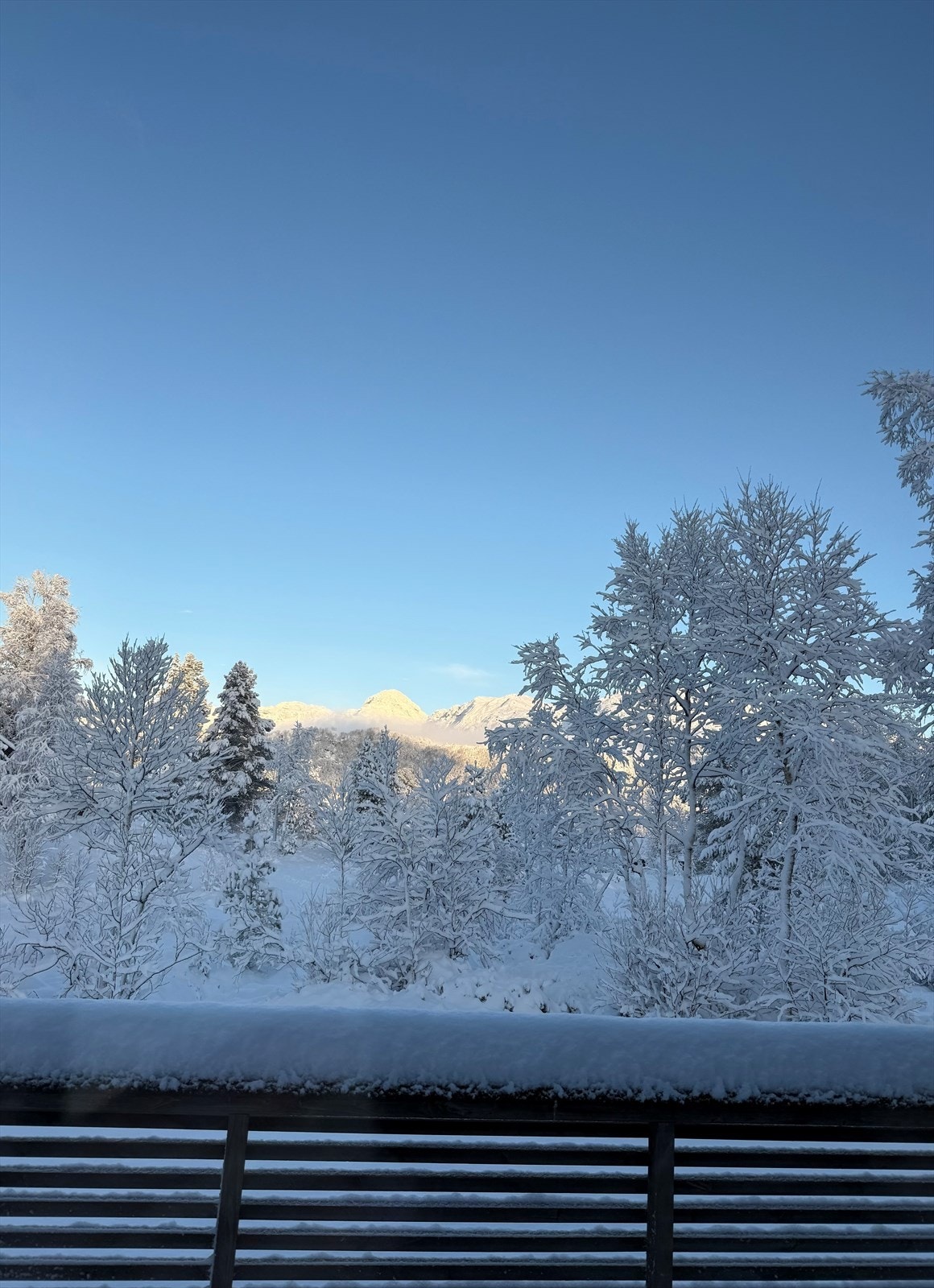 Presentert av Aktiv Eiendomsmegling Galleribilde