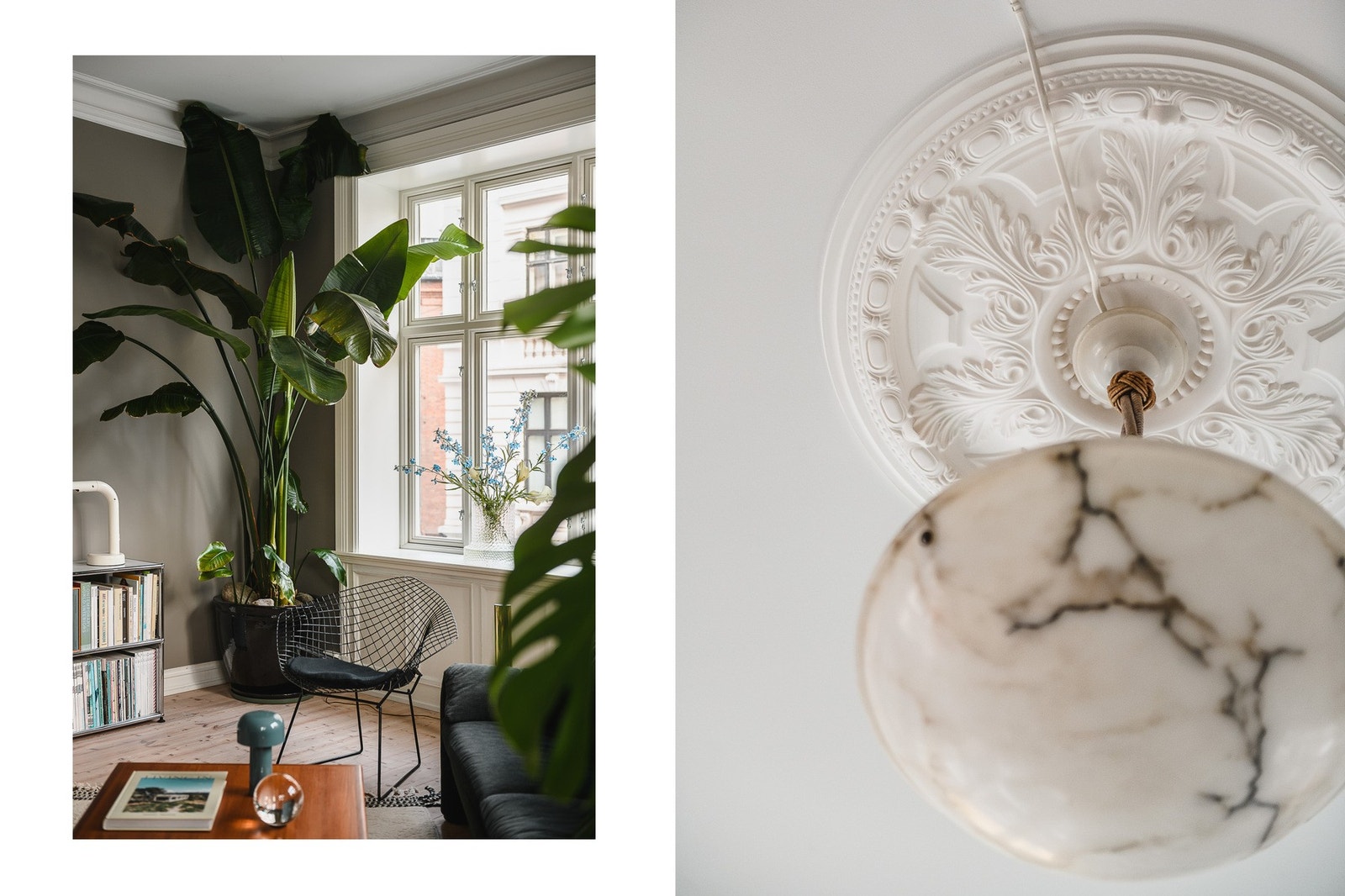 Vakre, originale detaljer som takrosetter understreker byggeårets klassiske særpreg. Galleribilde