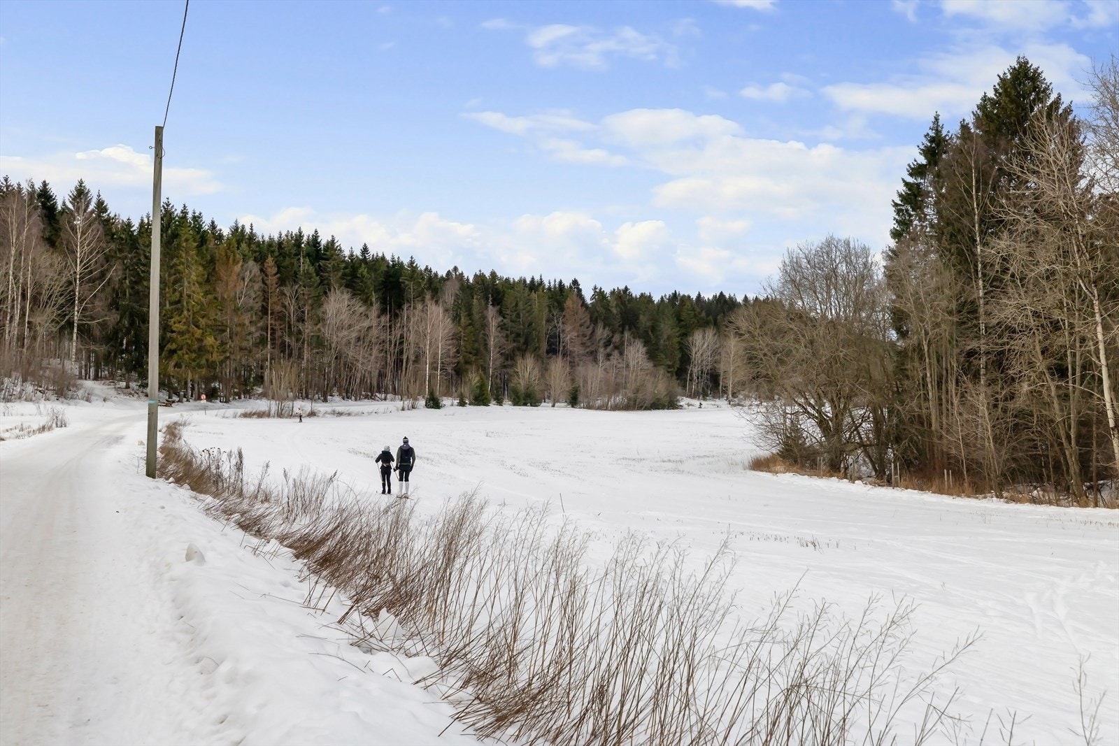 Bo ved inngangen til Marka Galleribilde