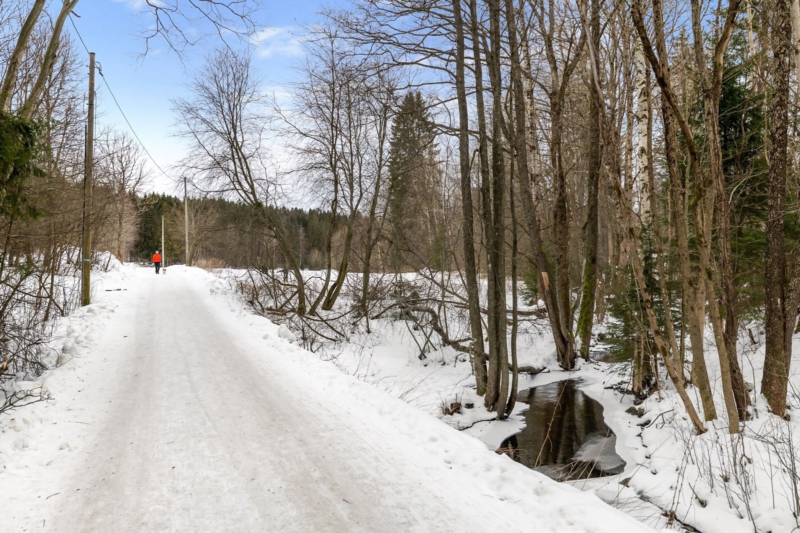 Turstier både sommer og vinter Galleribilde