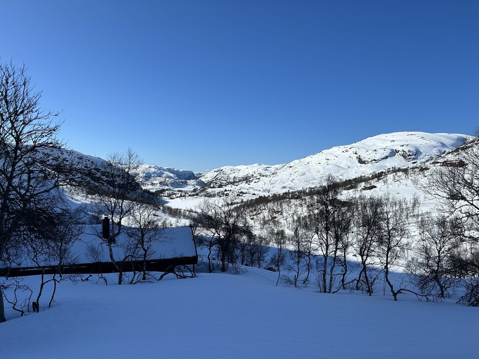- Hjertelig velkommen til visning - Galleribilde