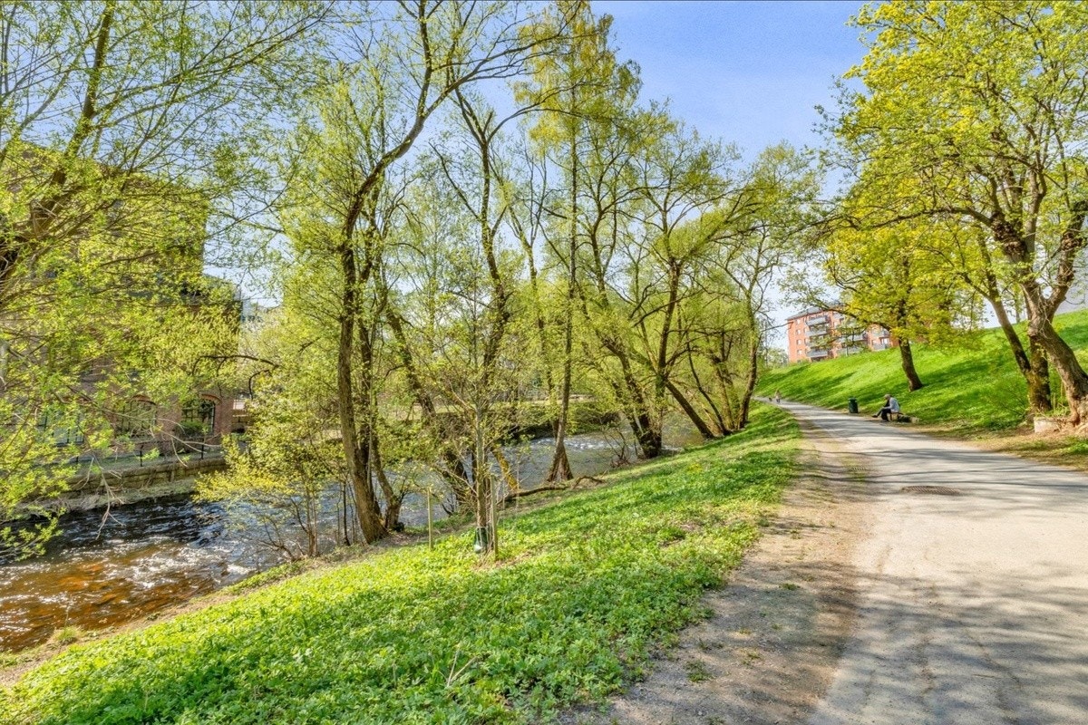 Turstier langs Akerselva Galleribilde