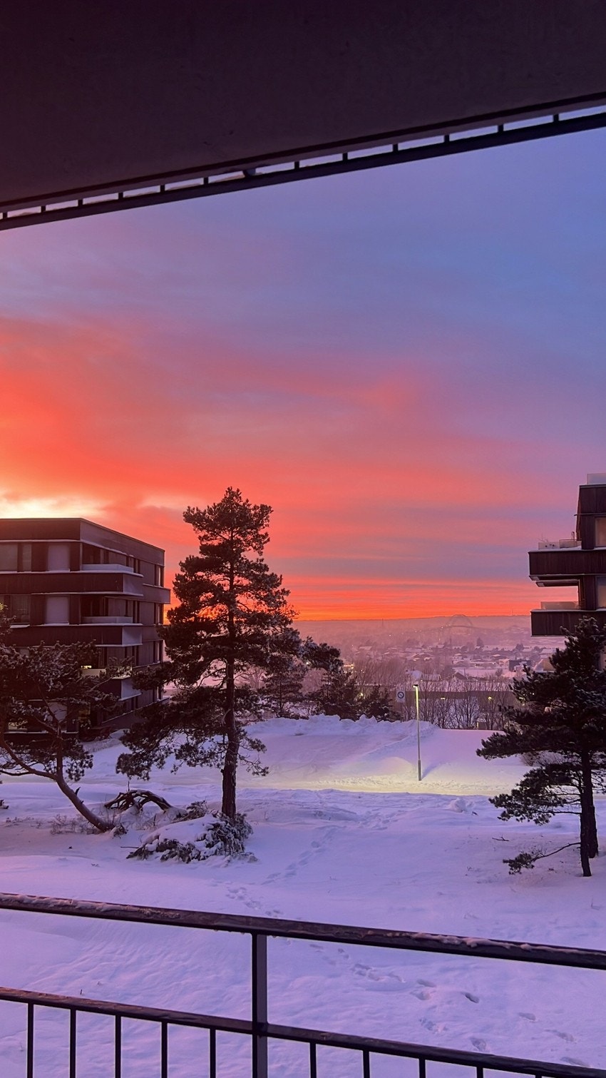 Selgers private foto Galleribilde