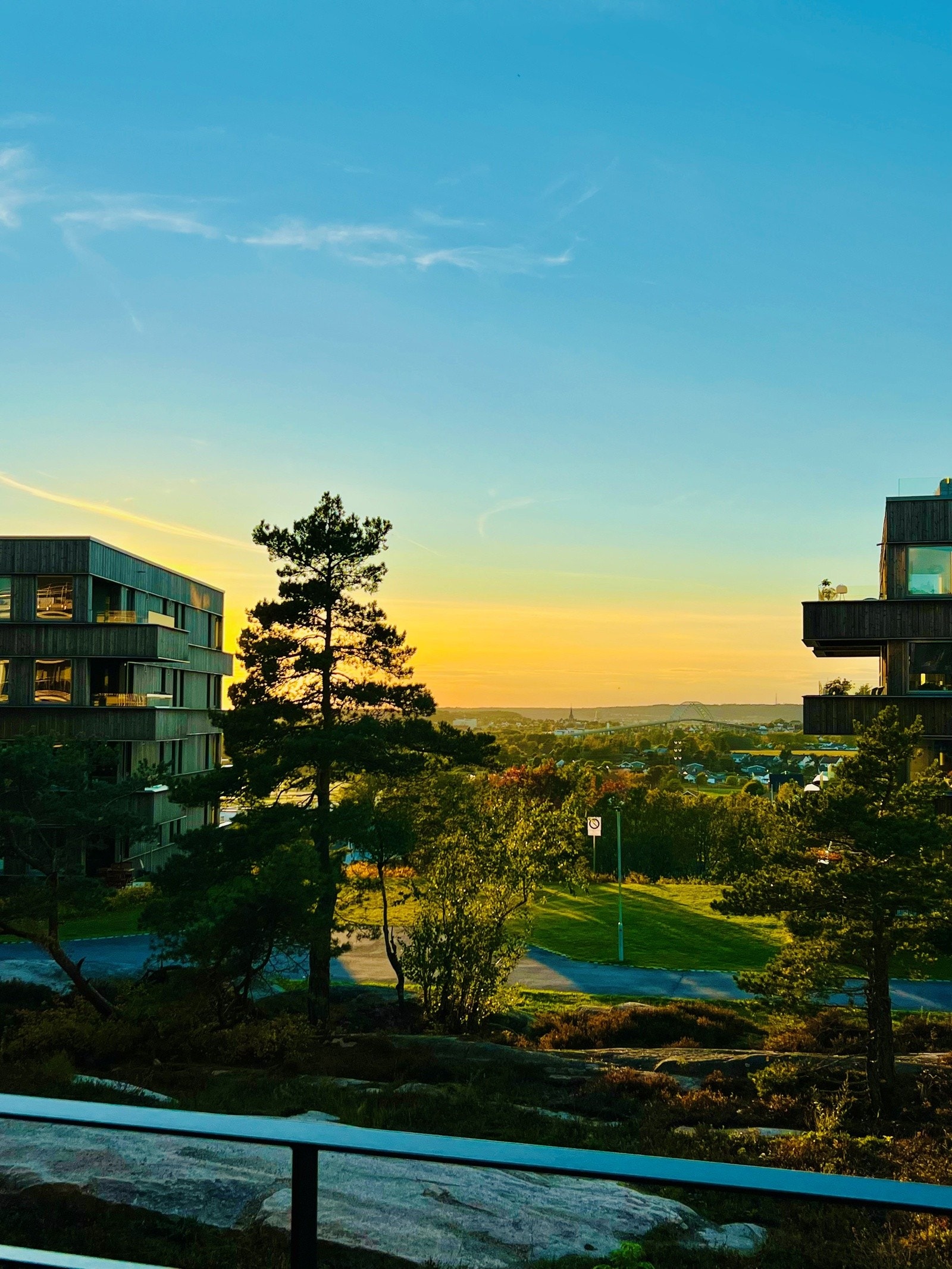 Selgers private foto Galleribilde