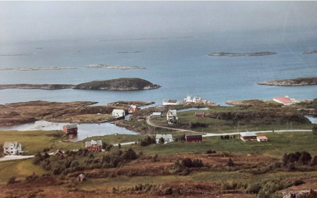 Selgers private bilder Galleribilde