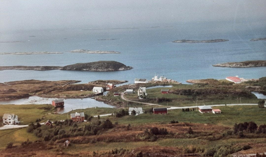 Selgers private bilder Galleribilde