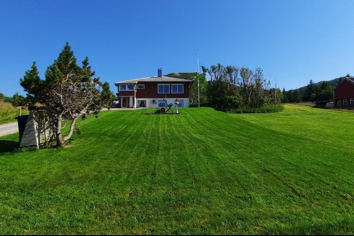 Selgers private bilder Galleribilde