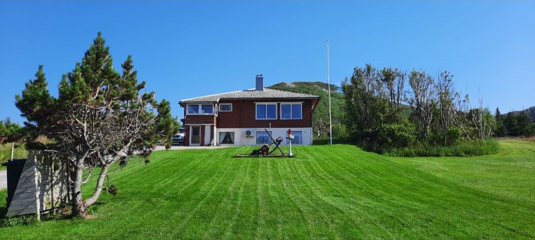 Selgers private bilder Galleribilde