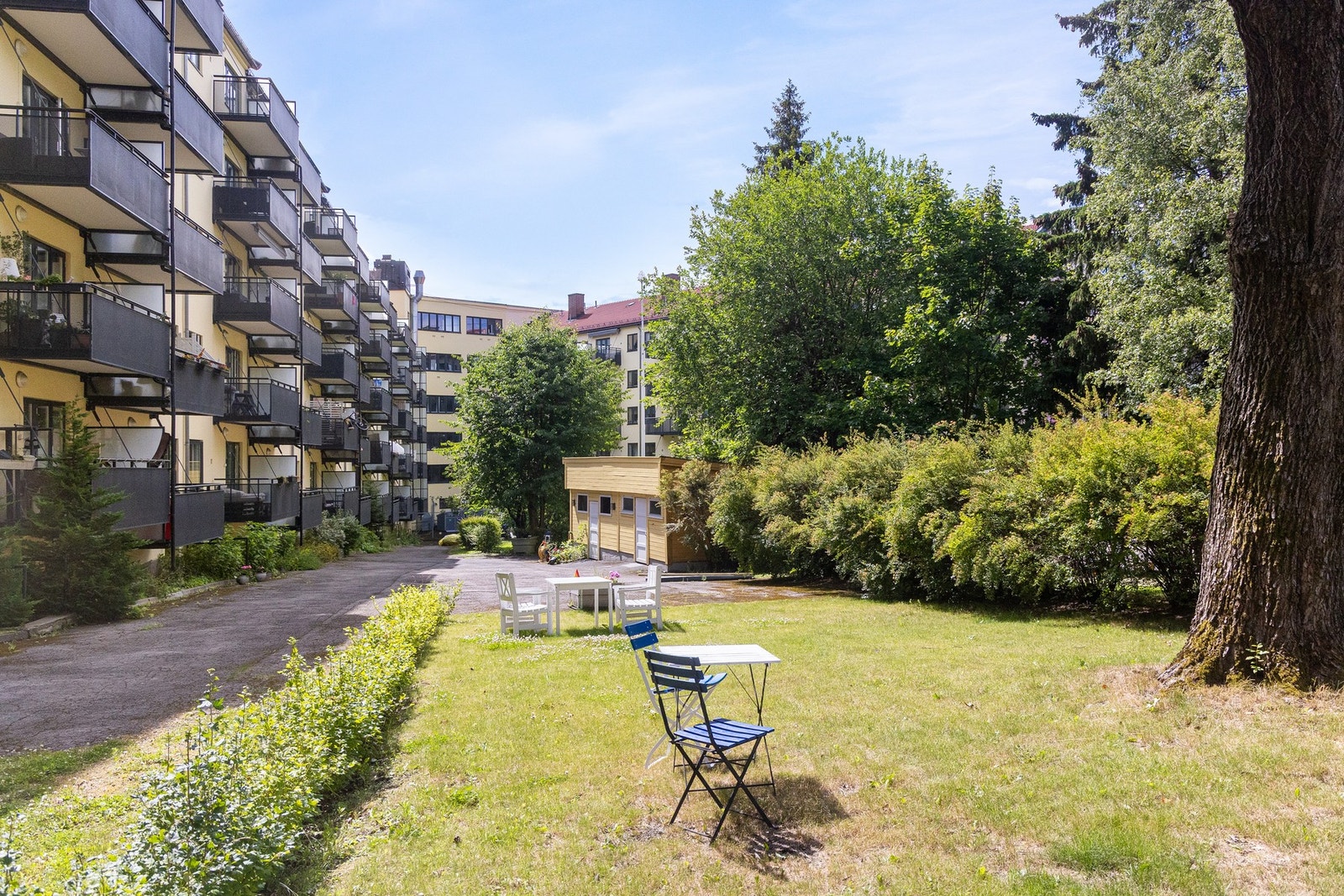 Juli-varmt i lufta her i bakgården. Galleribilde