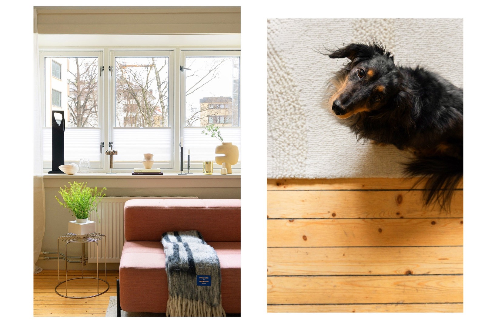 Bernard håper at du har lyst til å komme på visning! Galleribilde