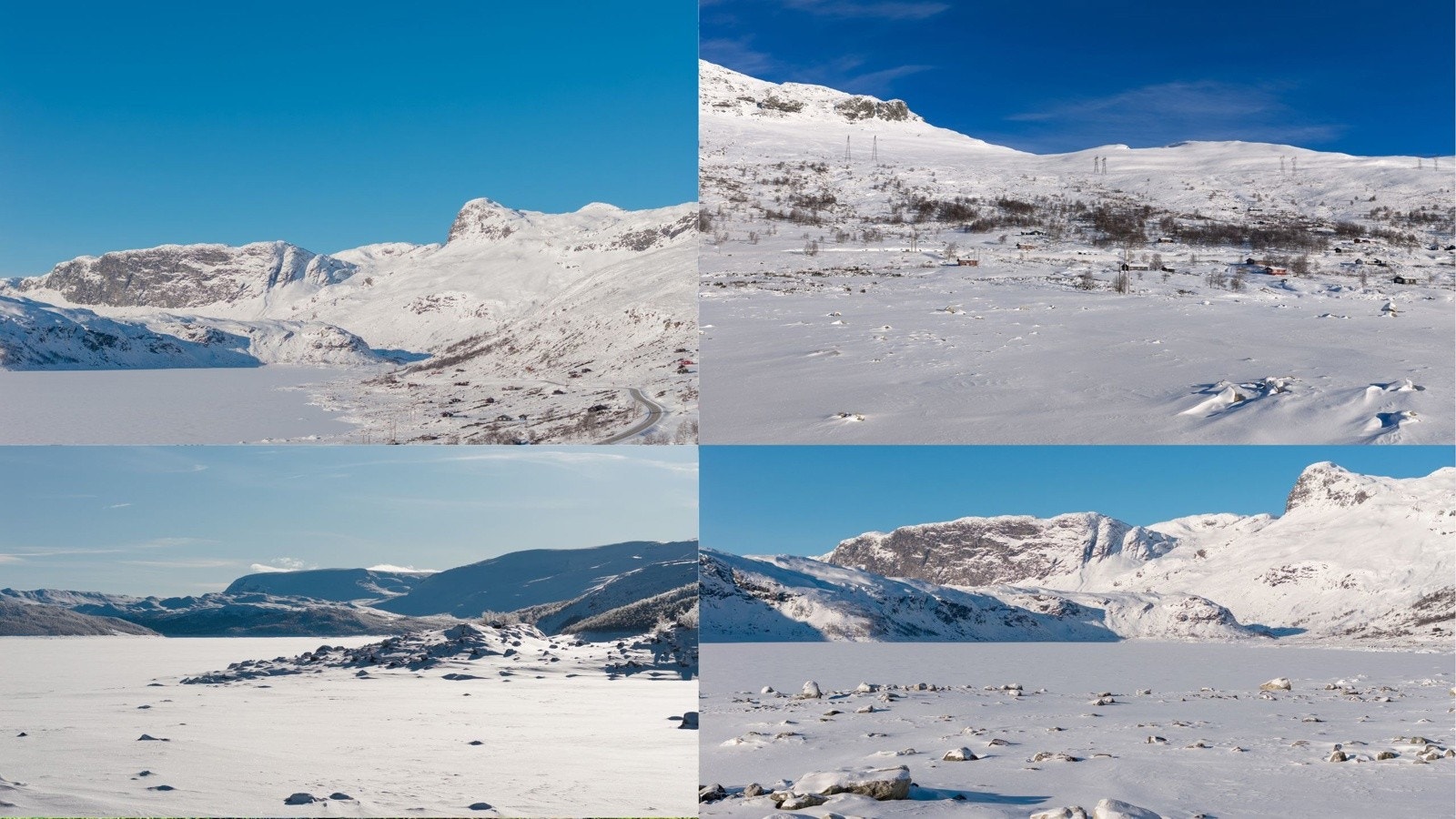 Skarvheimen. Galleribilde