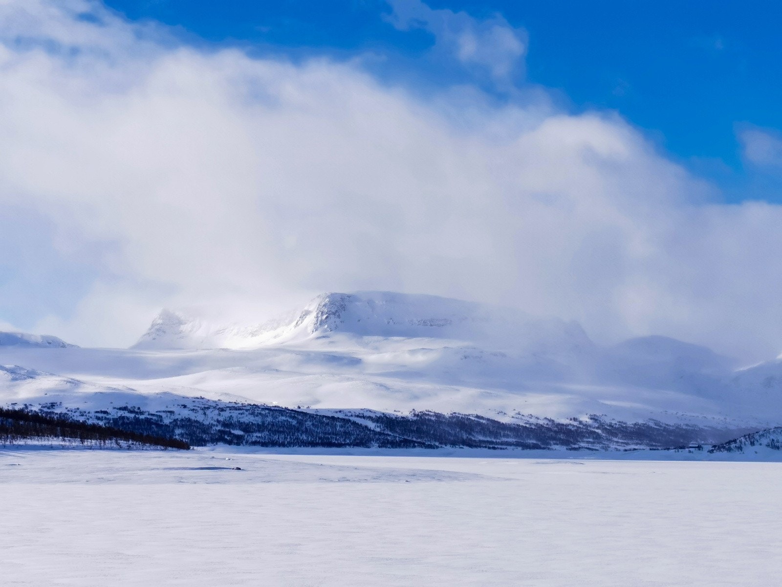 Selgers private bilder Galleribilde