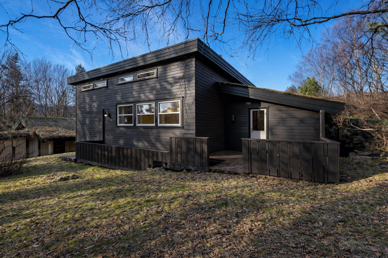 Her har vi vært fremme med malerkosten godt hjulpet av KI redigering. Galleribilde