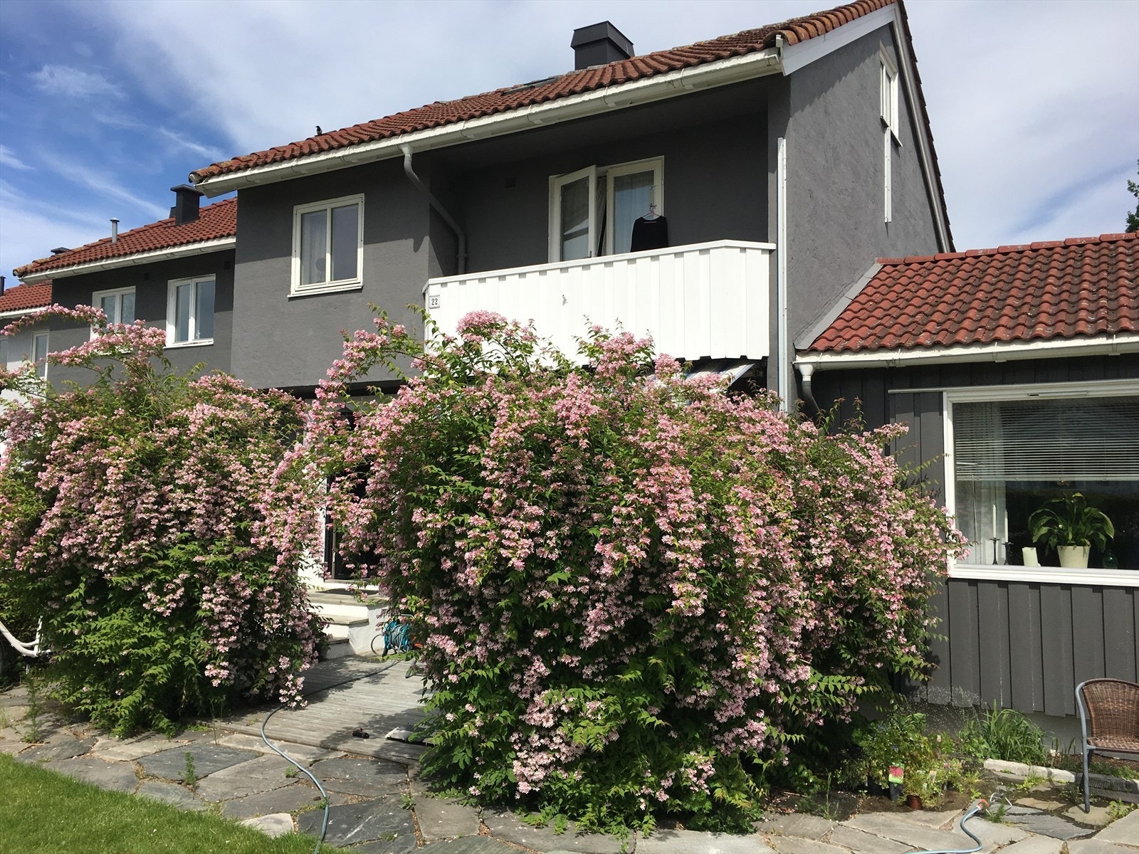 Selgers egne bilder tatt på sommerstid Galleribilde