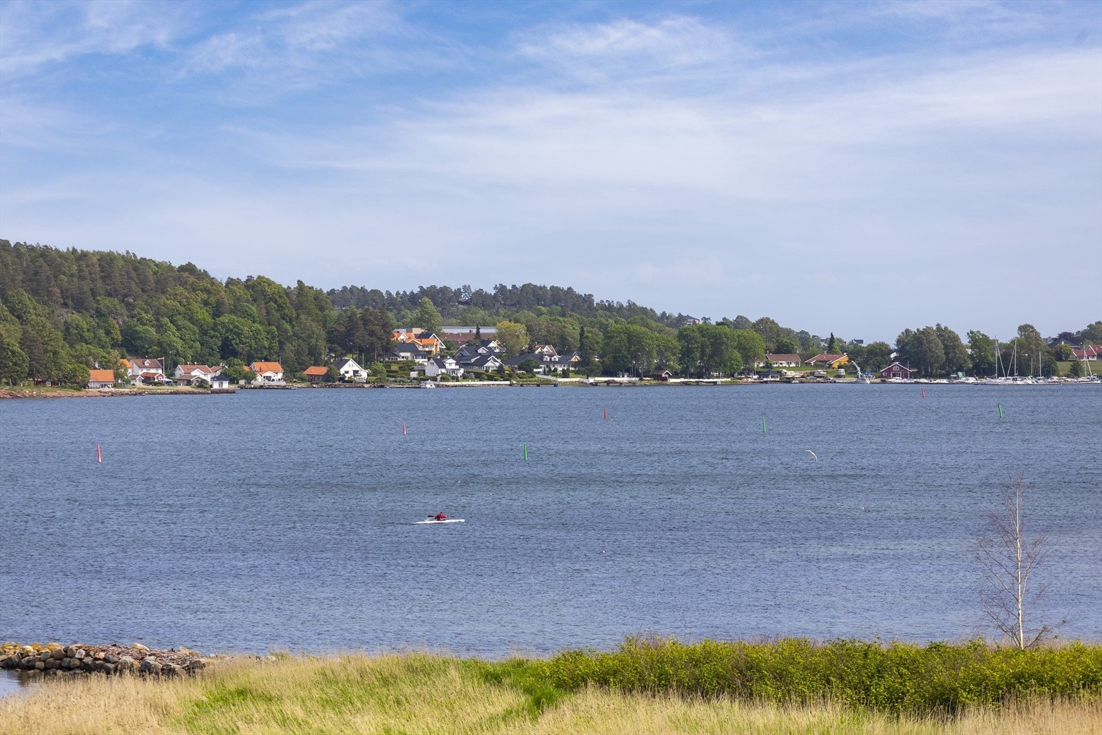 Øst for Ørsnes park er det kyststi mot Rosanes Galleribilde