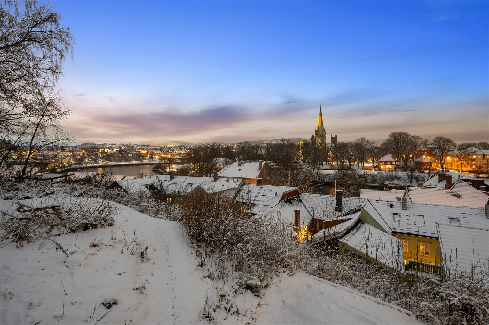 Boligen har store og flotte fellesområder på utsiden av bygget med grøntarealer og sittemuligheter. Galleribilde