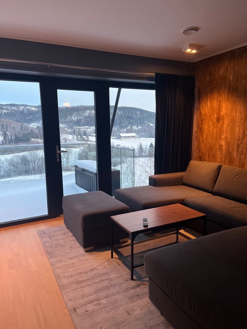 Stue med U-sofa Galleribilde