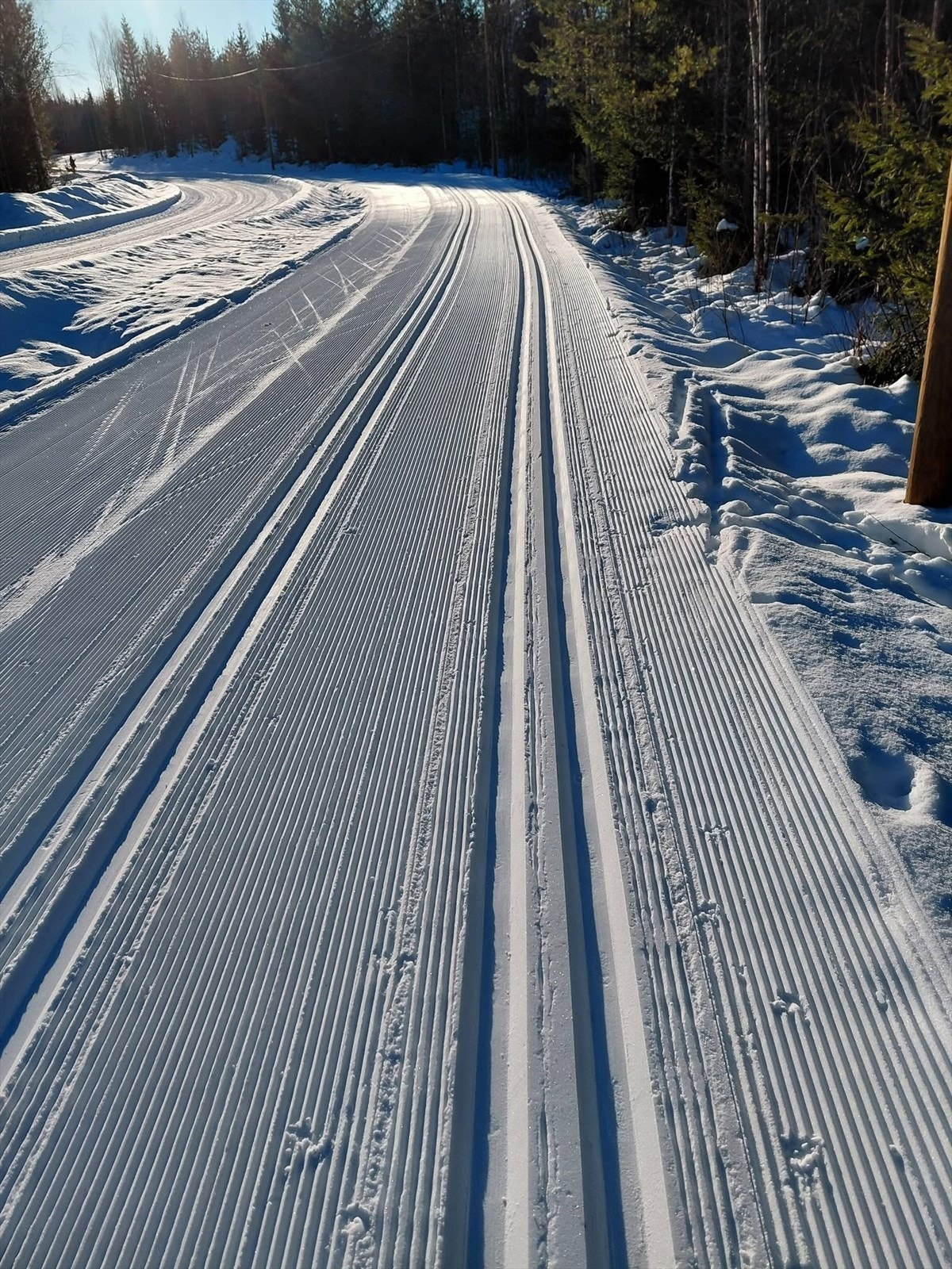Skiløyper i Trikkeskinne kvalitet i marka Galleribilde
