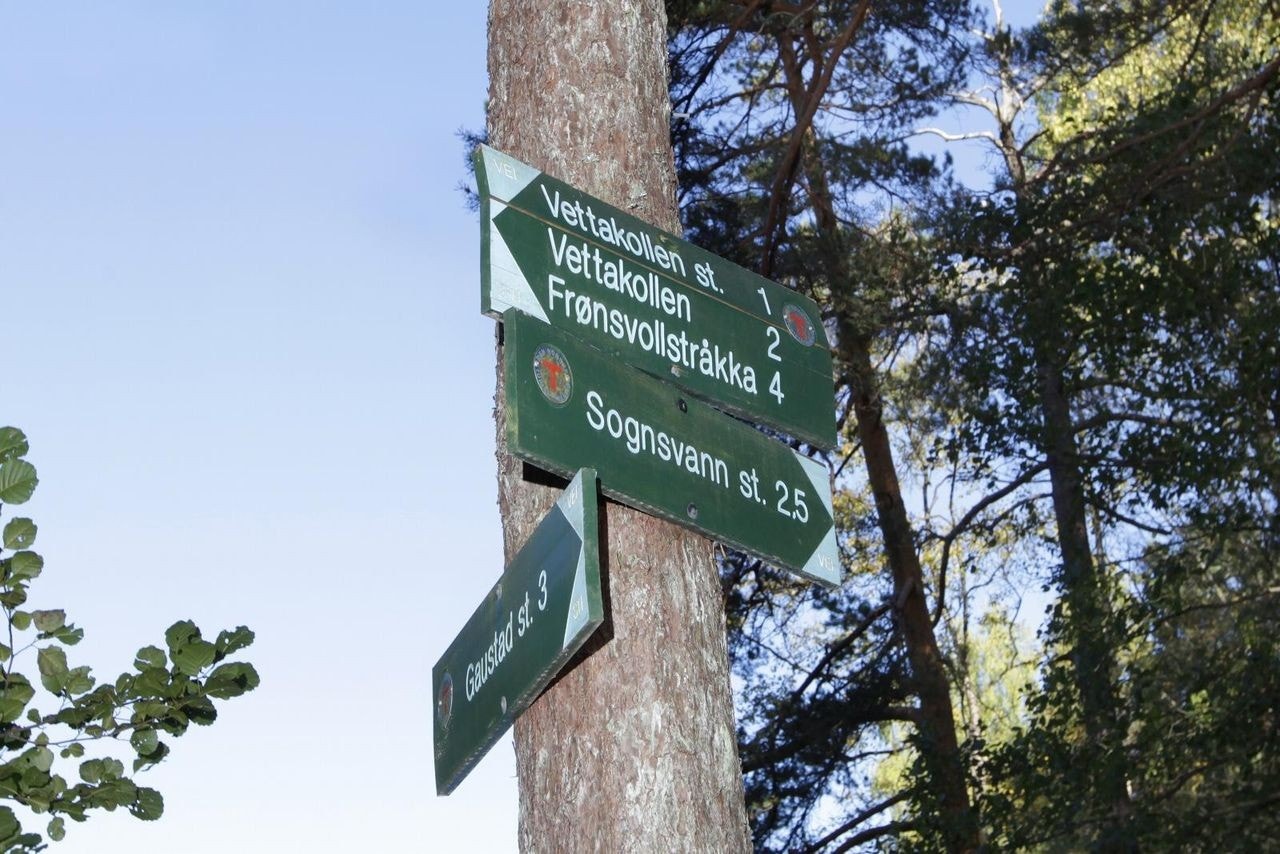 For den som er glad i friluftsliv, ligger marka i nær rekkevidde. Frognerseteren, Sognsvann og Holmenkollen nås enkelt med både sykkel og kollektivtransport, og byr på alt fra turstier og langrennsløyper til badeplasser og utsiktspunkter. Galleribilde