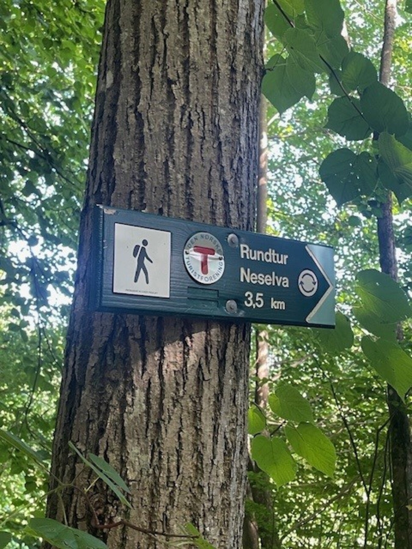 Herlige turmuligheter i nærområdet, både sommer og vinter. Fra Neselva Hageby er det kun en kort spasertur bort til jordene på naboeiendommen eller til Kjærlighetsstien som du kan følge videre opp til øvre Billingstad og inn i Vestmarka Galleribilde