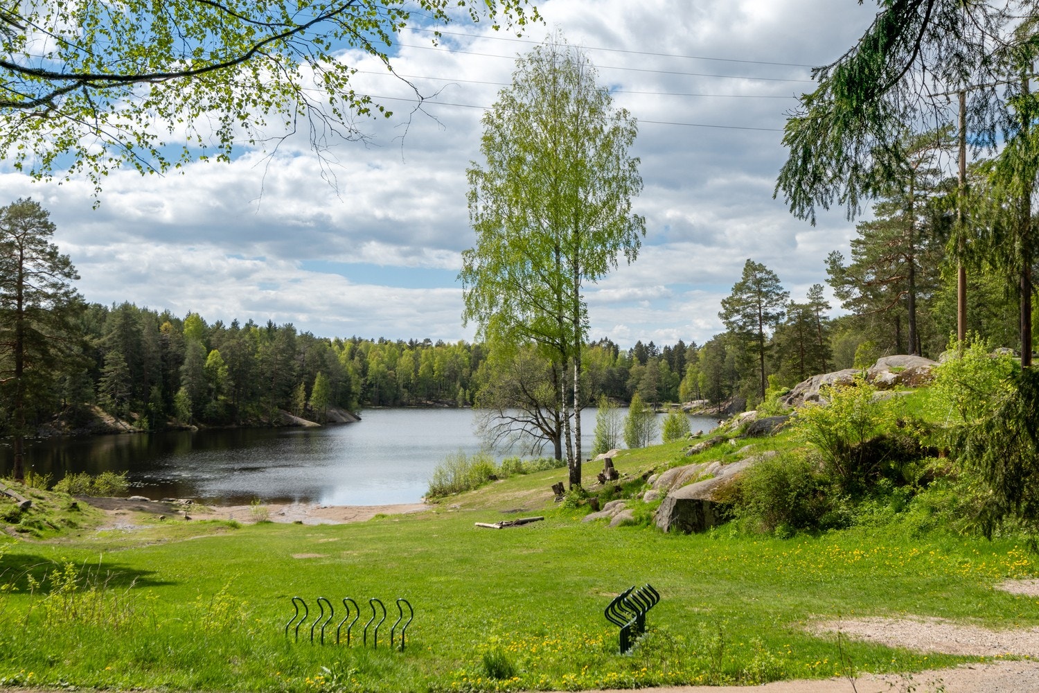 Østmarka med bademuligheter. Galleribilde