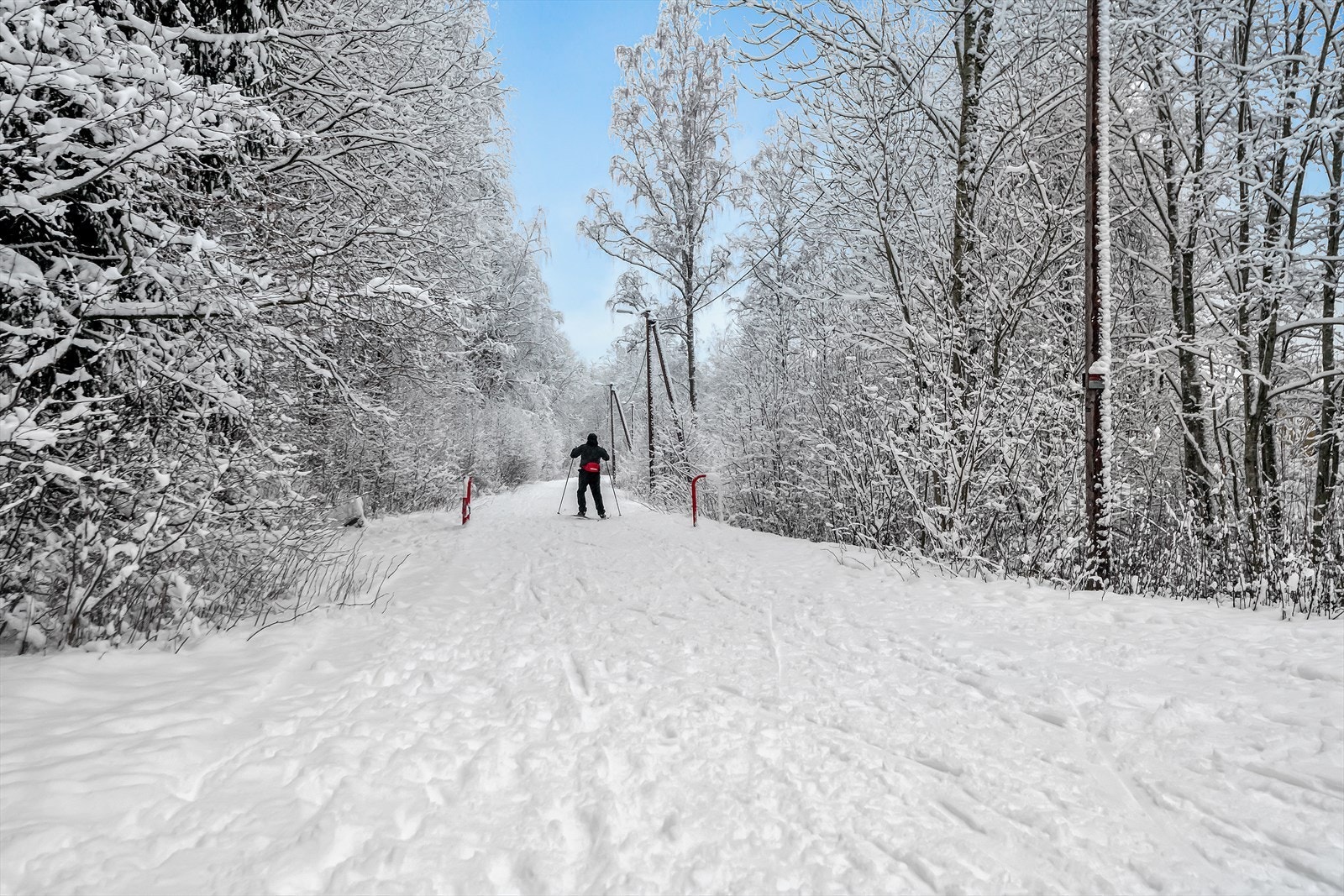 Østmarka Galleribilde