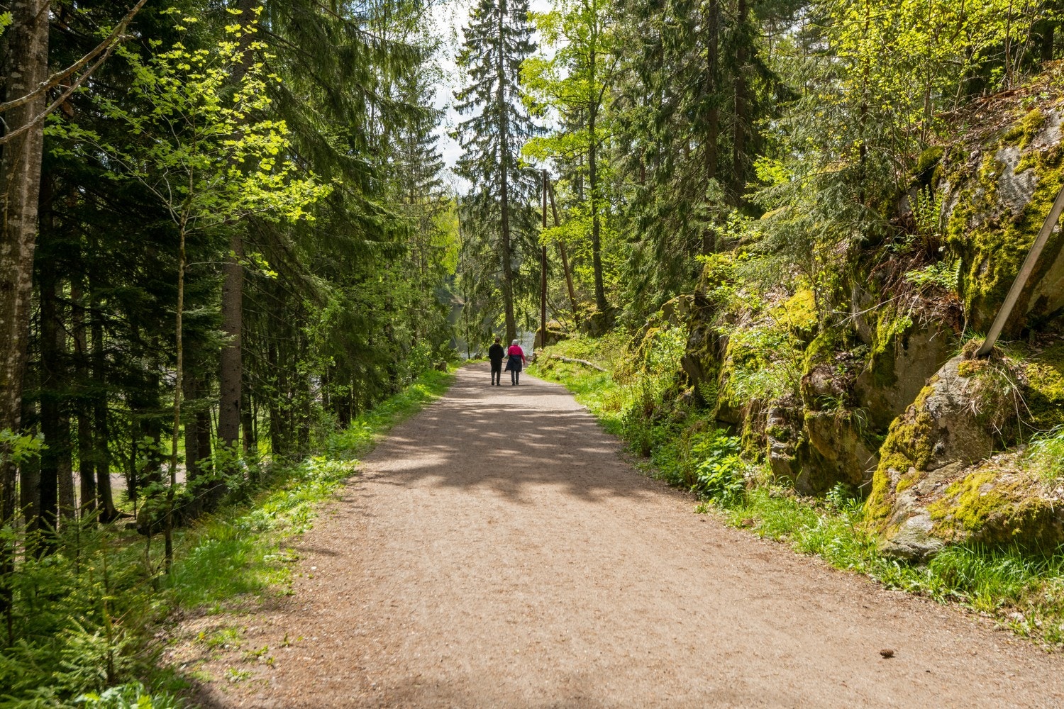 Flotte turmuligheter i umiddelbar nærhet Galleribilde