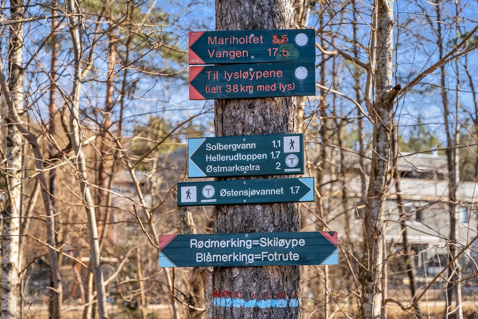 Østmarka med turmuligheter sommer og vinter. Galleribilde