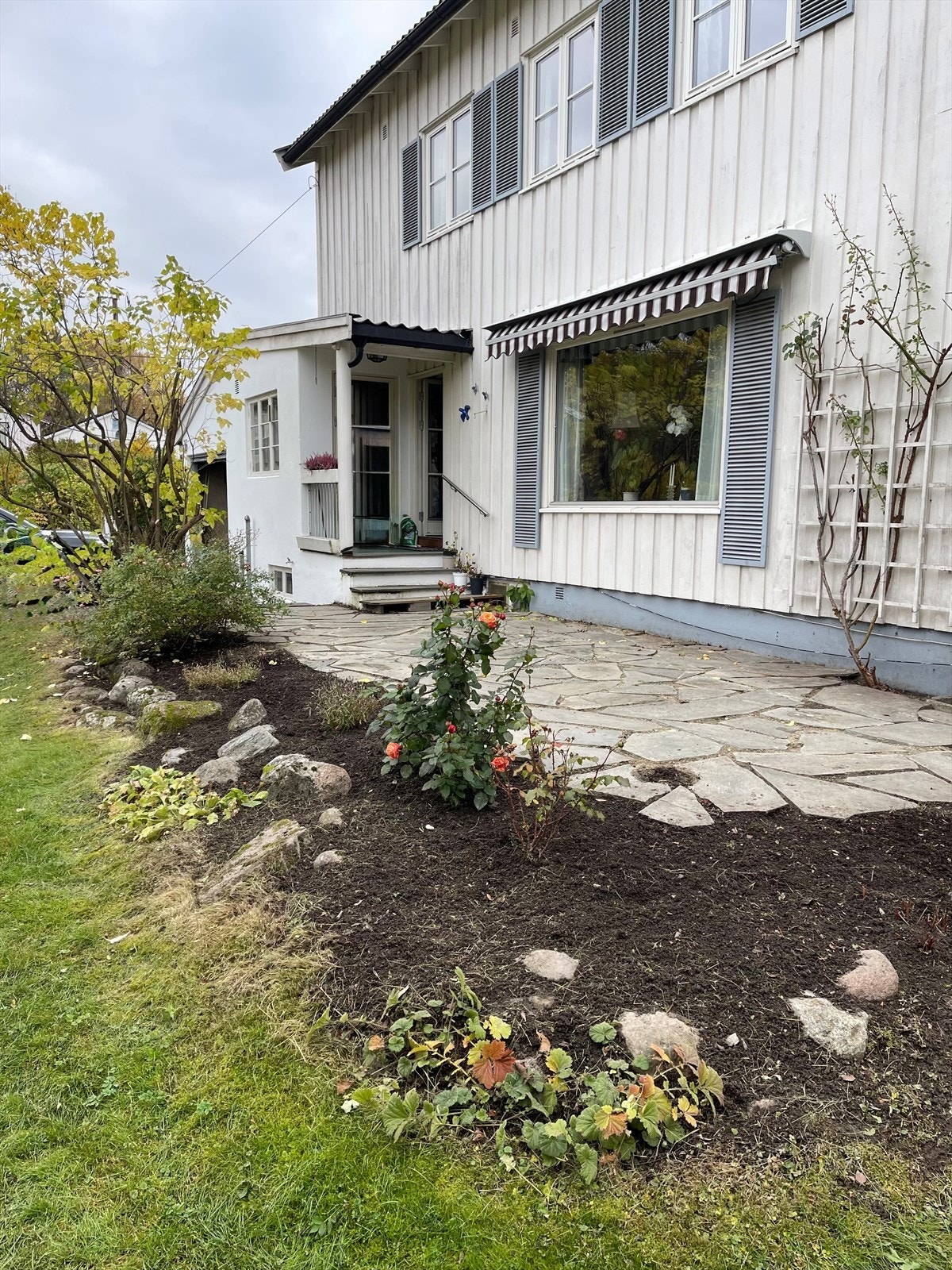 Selgers private sommerbilde. Galleribilde