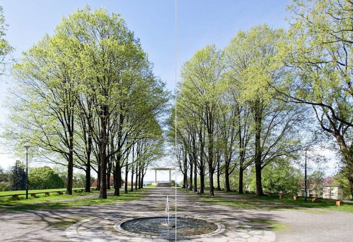 Torshovparken rett i nærheten Galleribilde