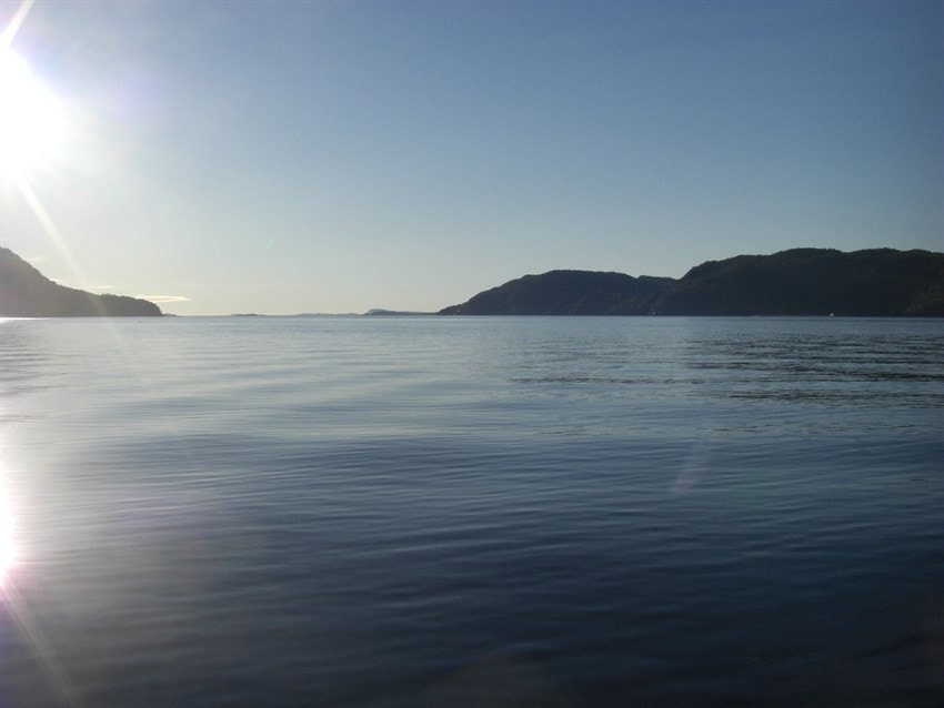 Ved sjøen Galleribilde