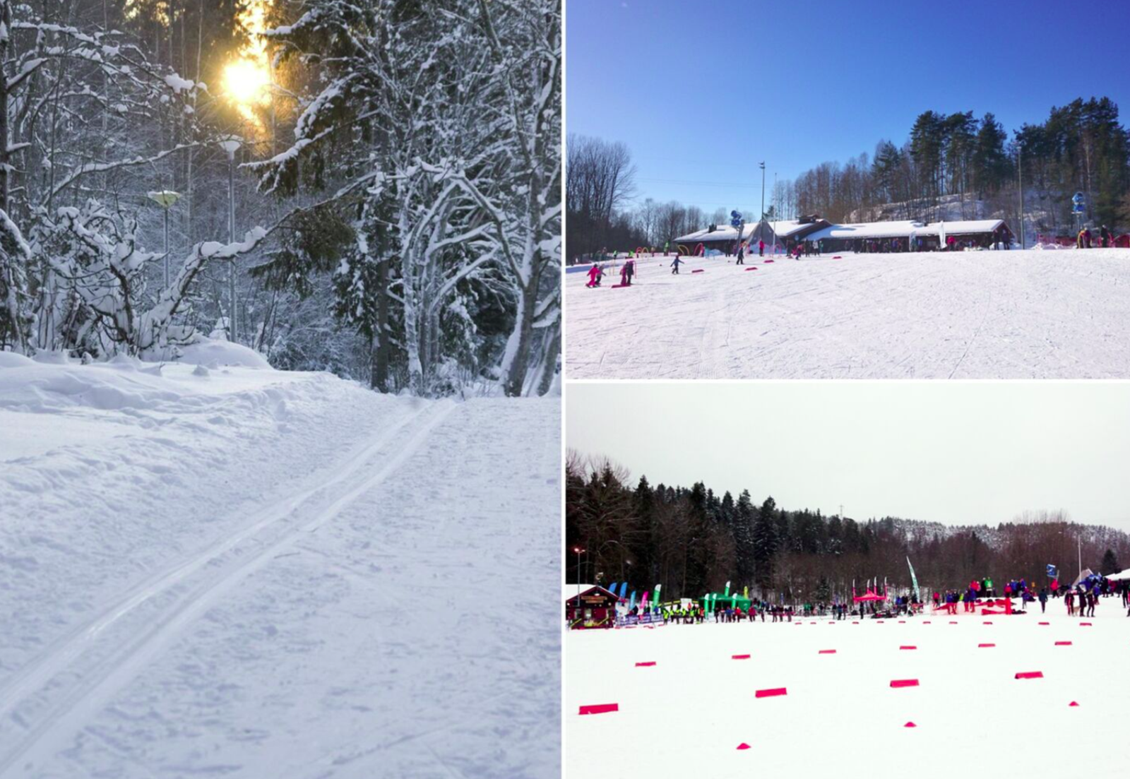 På vinterstid er det flotte preparerte skiløper i Østmarka Skianlegg ved Skullerudstua Galleribilde