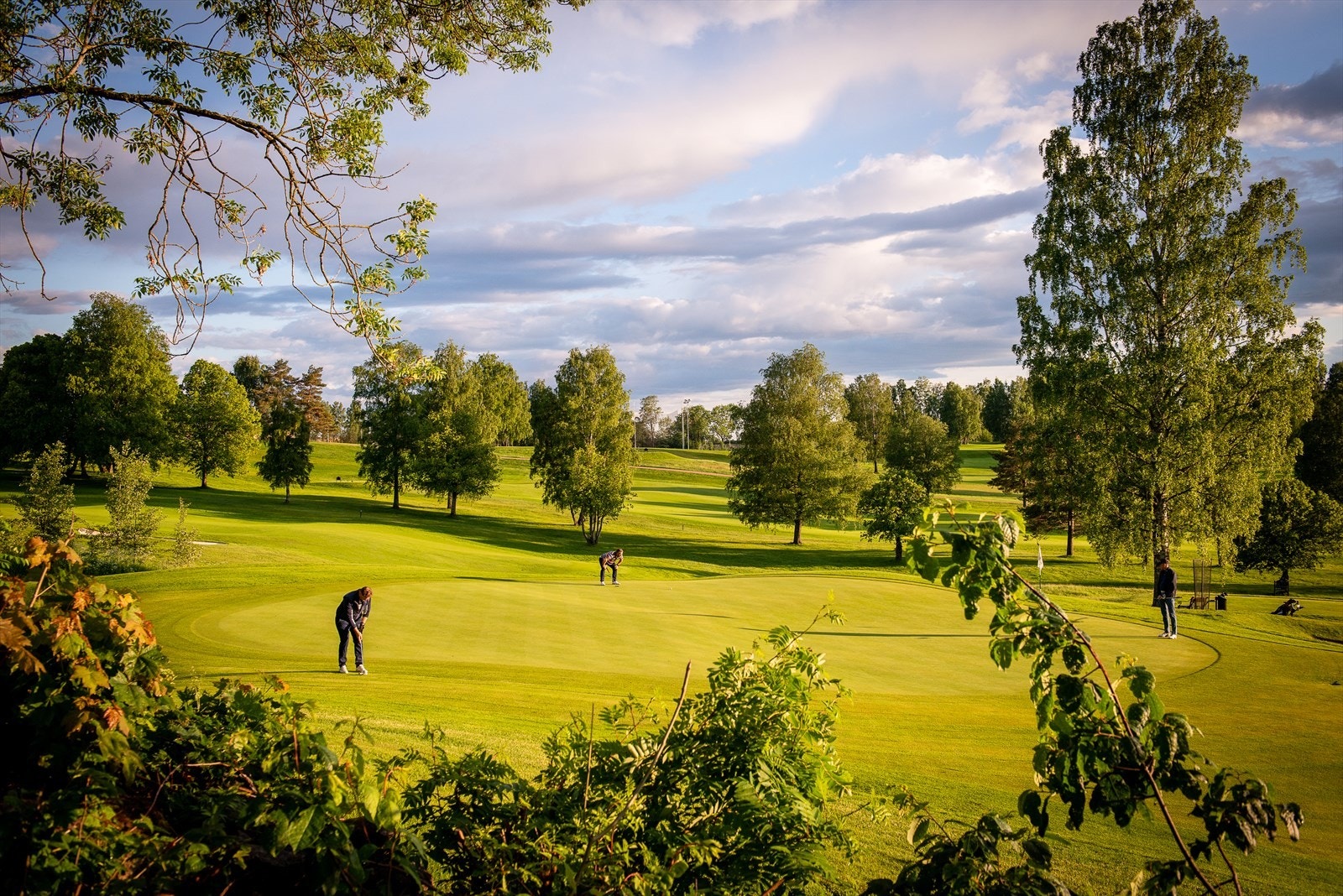 Oslo Golfklubb kan tilby en av Europas beste golfbaner Galleribilde