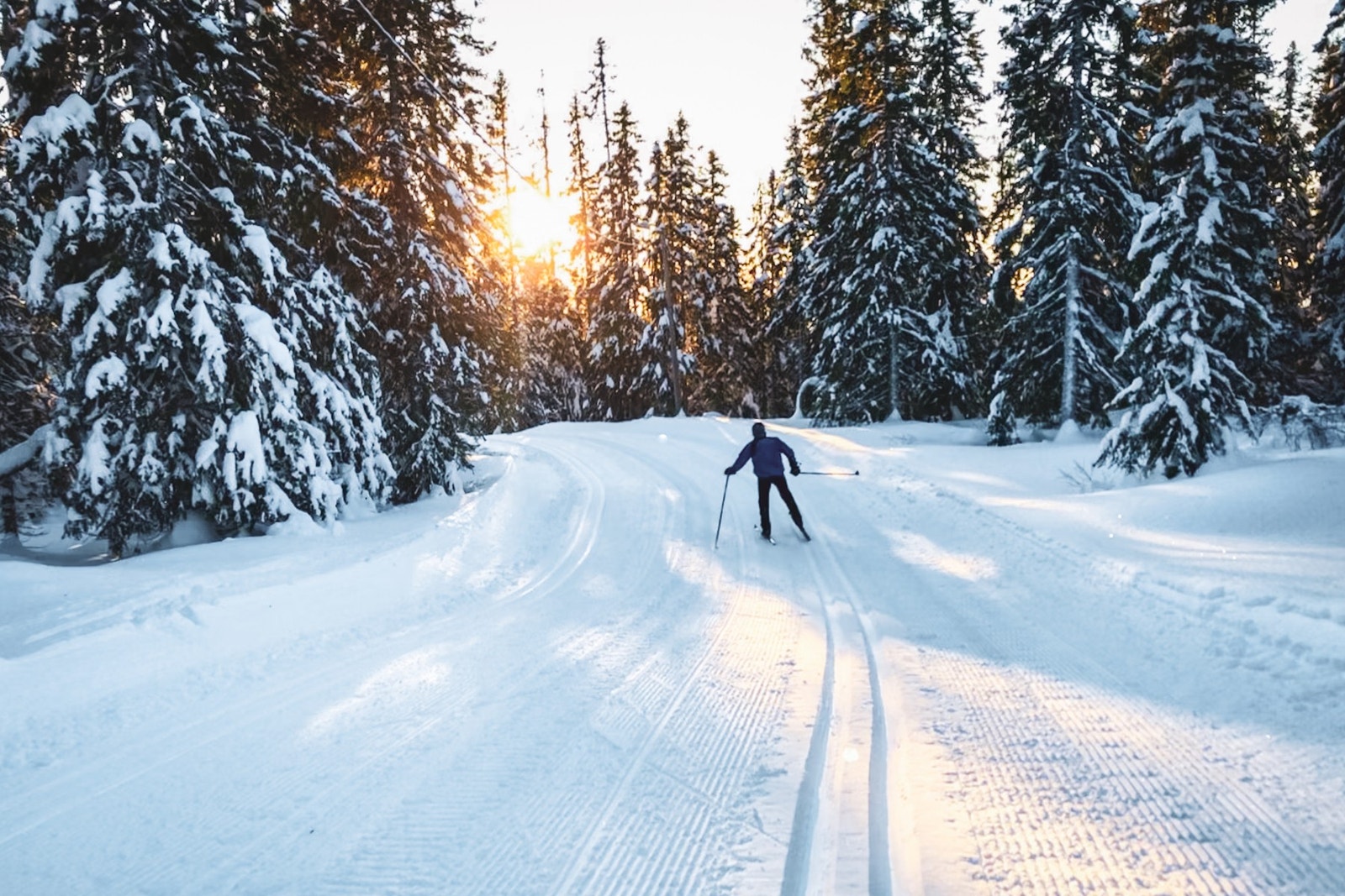 Bymarka ligger innen ca. 10 minutters gange og byr på et omfattende tur- og løypenett året rundt, enten det er fotturer, sykkelturer eller ski om vinteren. Galleribilde