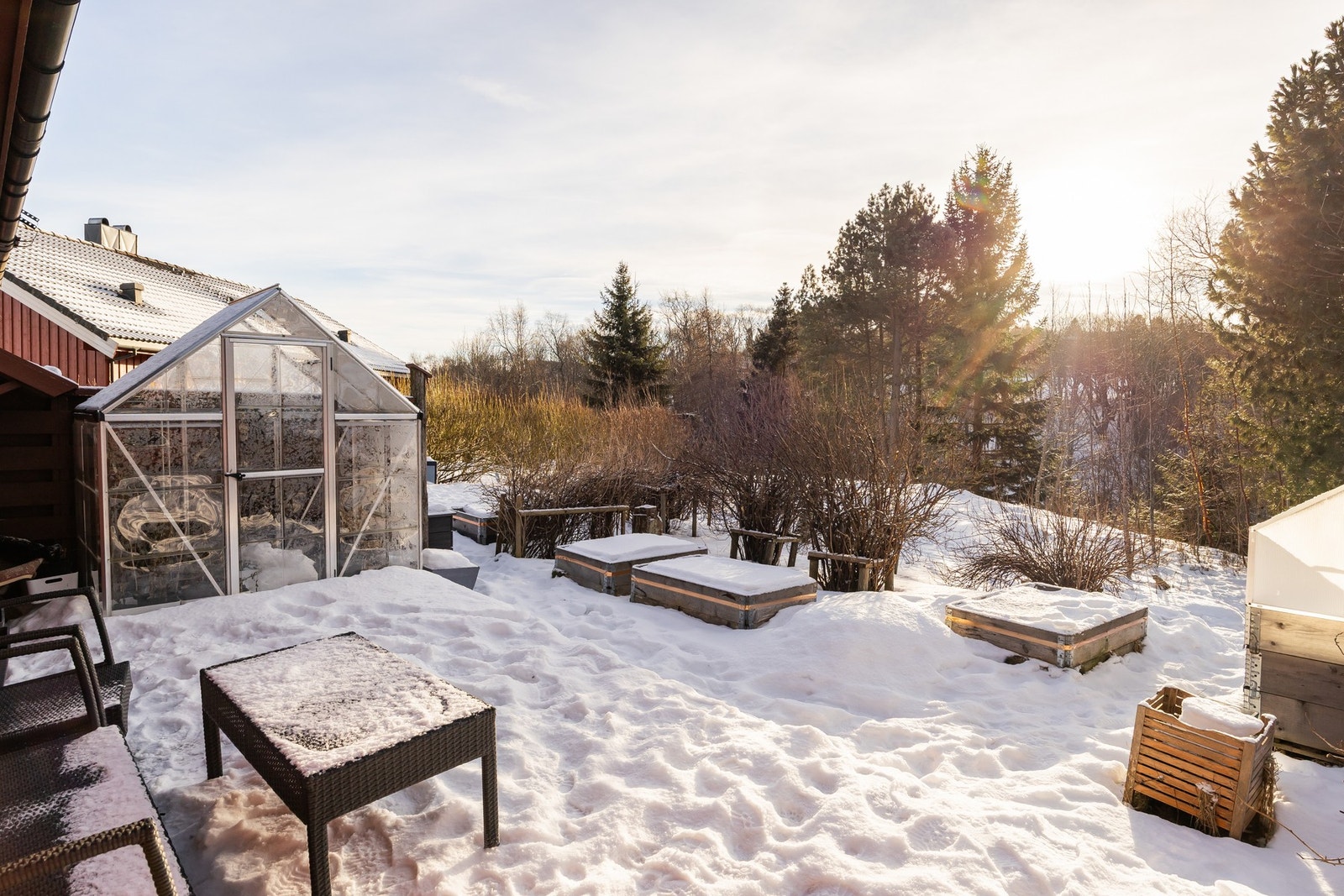 Hyggelig bakside med hage og eget drivhus. Galleribilde