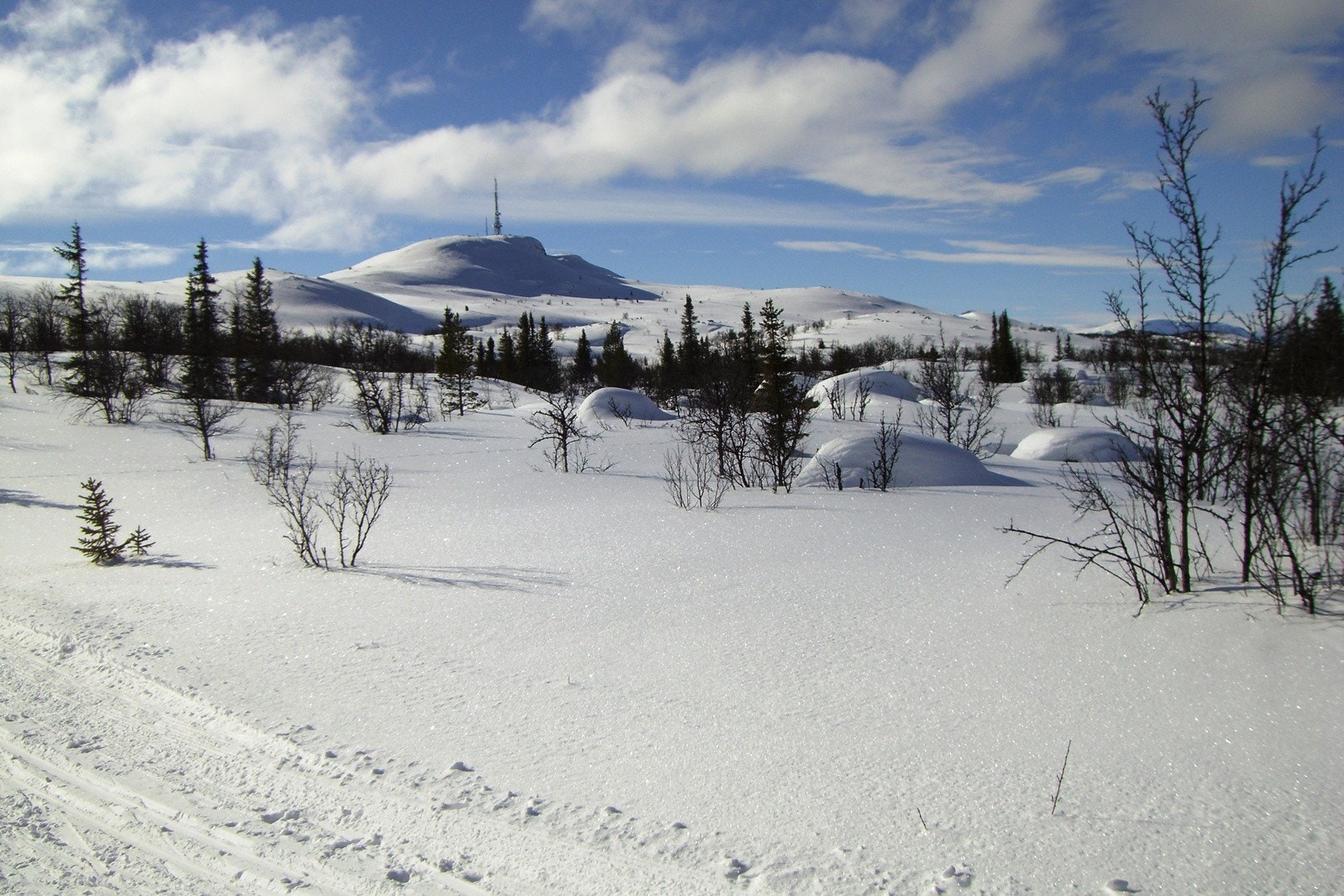 Bilde fra langrennsløypene som ligger like uten for døra Galleribilde