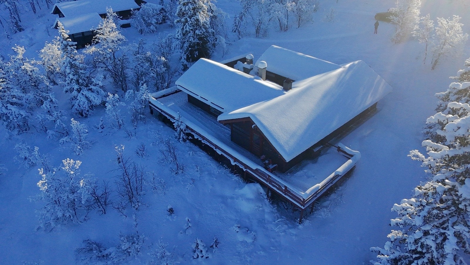 Selgers eget bilde Galleribilde