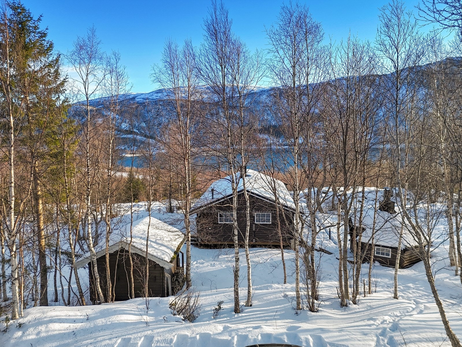 Eiendommen består av hovedhytte, uthus og grillhus Galleribilde